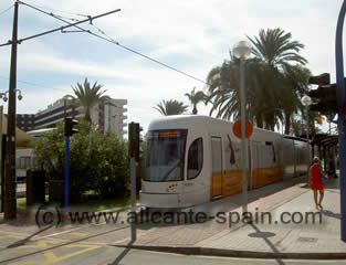 alicante-streetcare-outside-melia-hotel_1.jpg