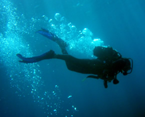 scuba-diving1_2.jpg