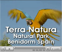 Click here to view the Video